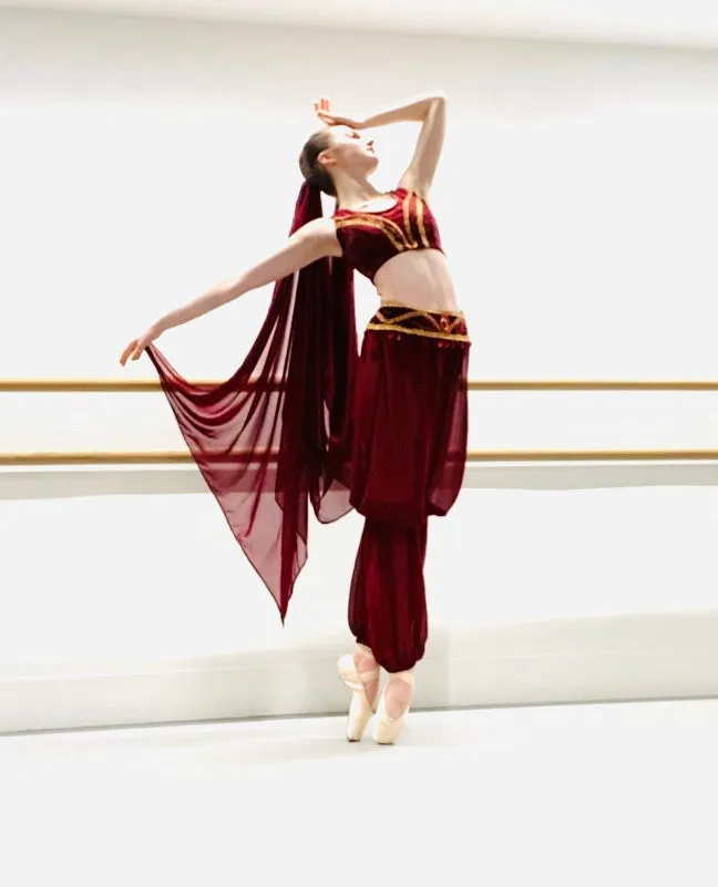 La Bayadere Nikiya Arabian Middle Eastern Costume - Hire only