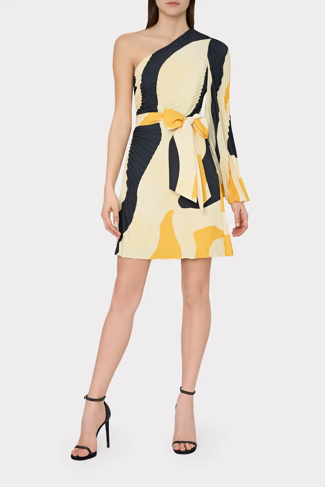 Linden Zebra Pleated Dress